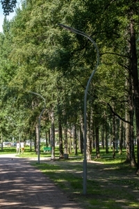 dorozhki-2_1.jpg