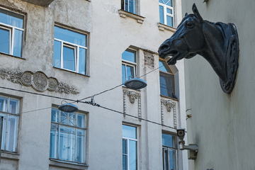 dscf4368.jpg