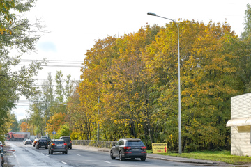 rzhevskaya4.jpg