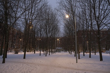 dscf2073.jpg